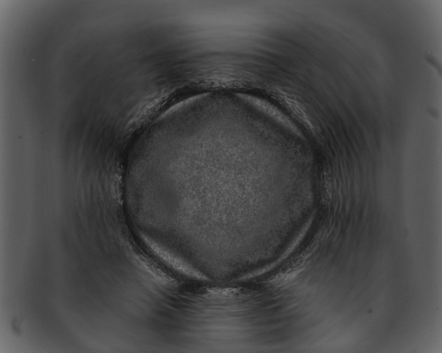 X0000093100450200710171204