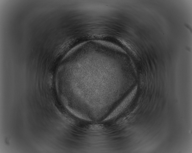 X0000093100451200710171204