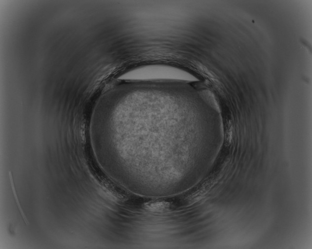 X0000093100452200710171204