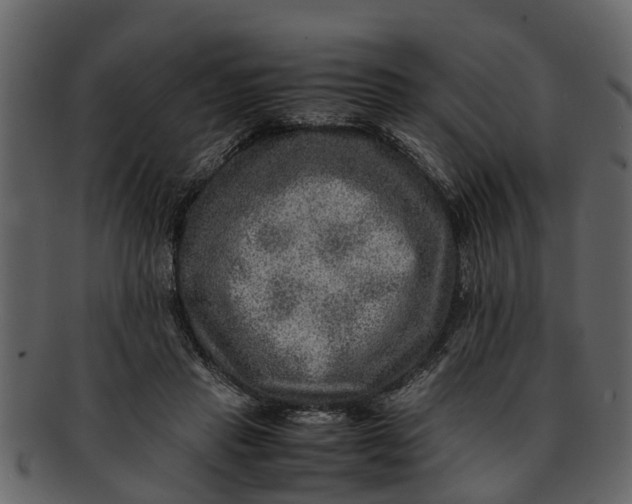 X0000093100453200710171204
