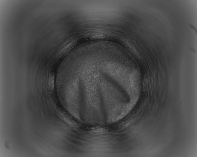 X0000093100454200710171204