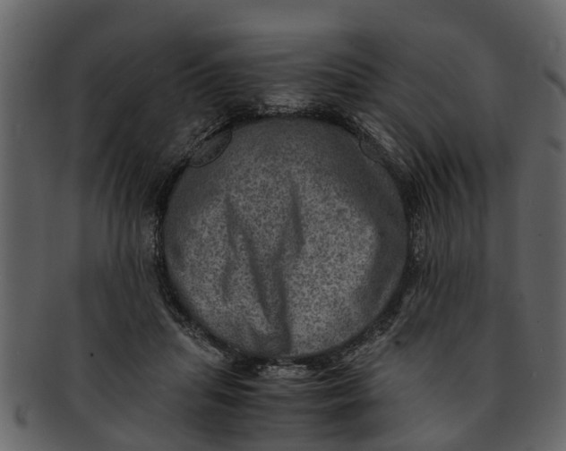 X0000093100455200710171204