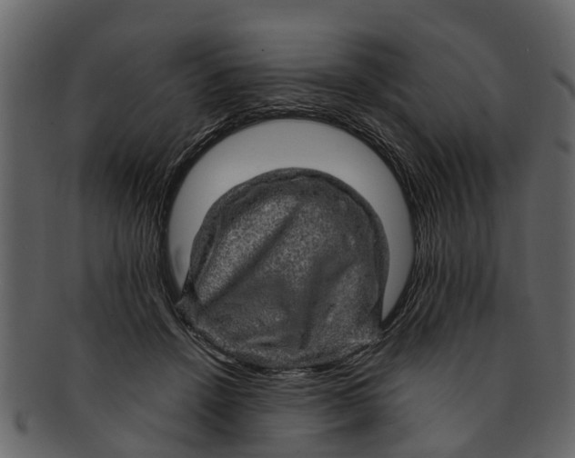 X0000093100456200710171204