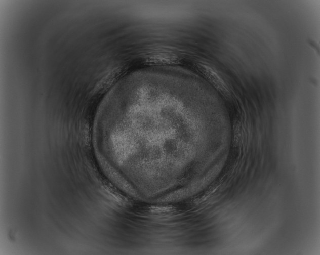 X0000093100457200710171204