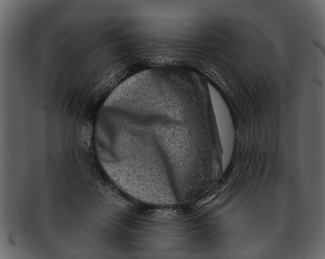 X0000093100458200710171204