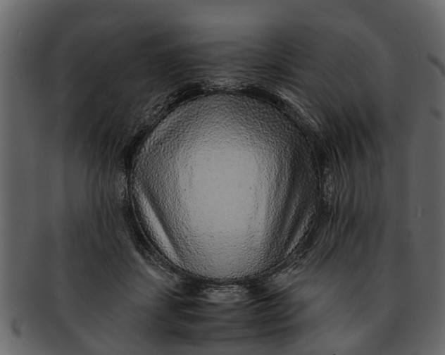 X0000093100459200710171204