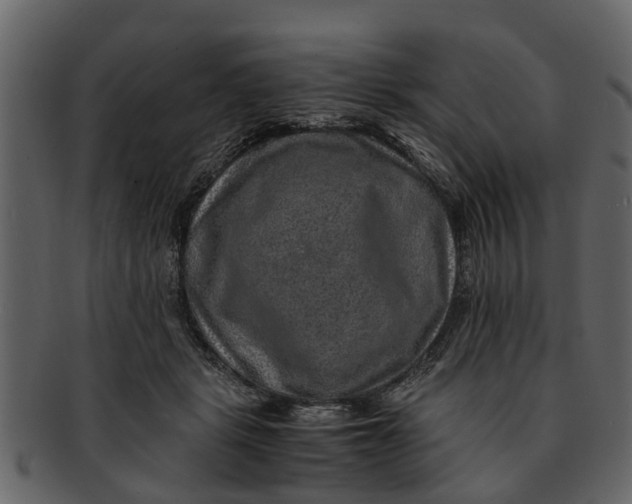 X0000093100461200710171204