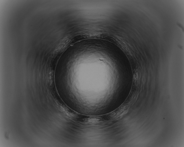 X0000093100462200710171204