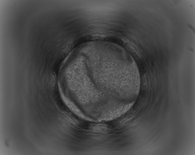 X0000093100463200710171204