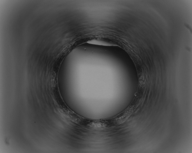 X0000093100464200710171204