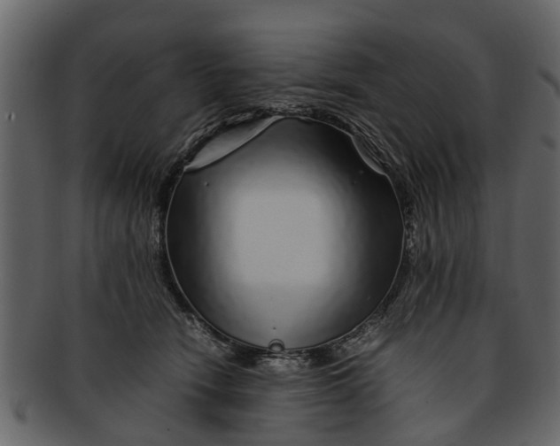 X0000093100466200710171204