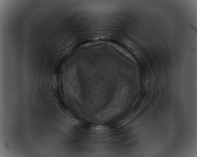X0000093100467200710171204