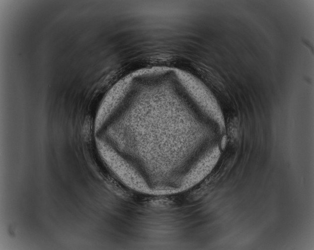 X0000093100468200710171204