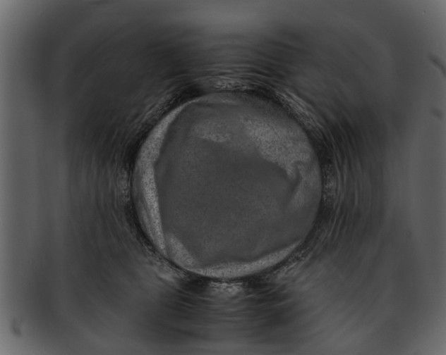 X0000093100469200710171204