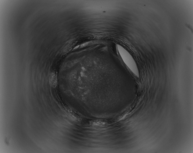 X0000093100471200710171205