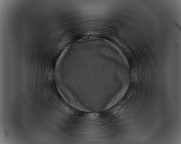 X0000093100474200710171205
