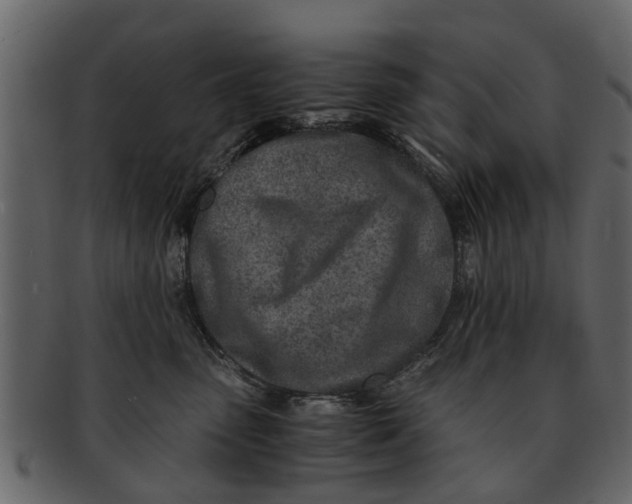 X0000093100475200710171205
