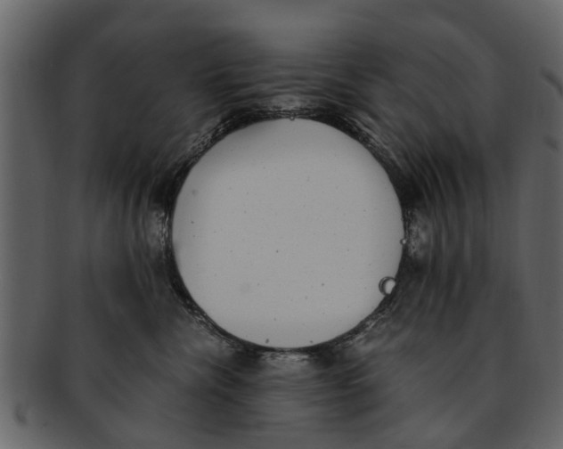 X0000093100476200710171205