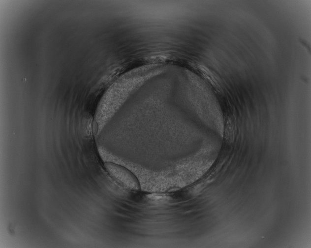 X0000093100477200710171205