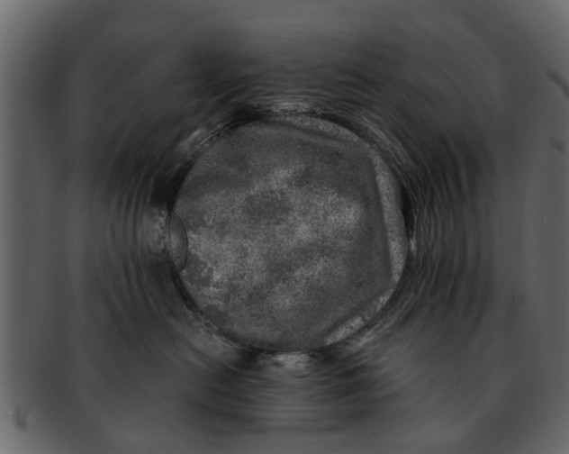 X0000093100478200710171205