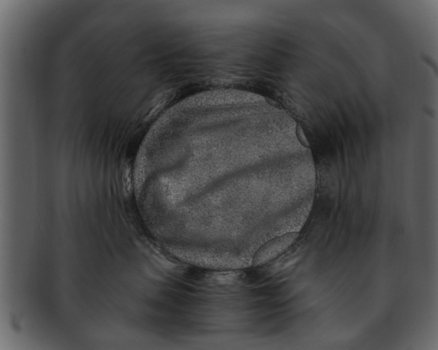 X0000093100479200710171205