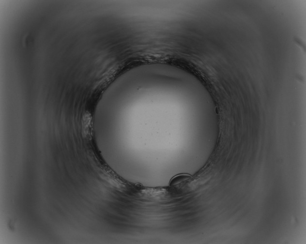X0000093100480200710171205