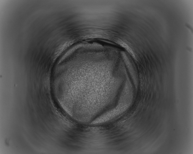 X0000093100482200710171204