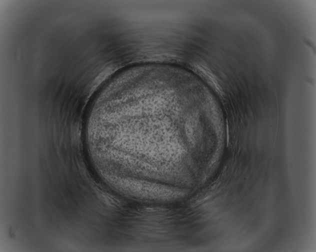X0000093100483200710171204