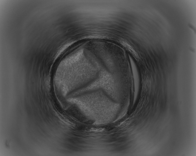 X0000093100484200710171204