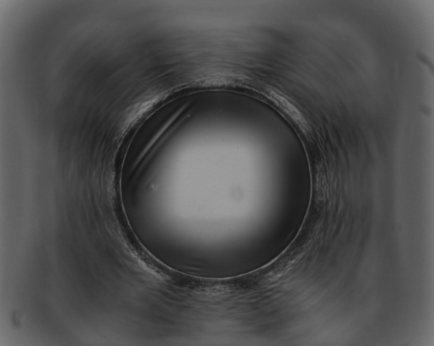 X0000093100485200710171204