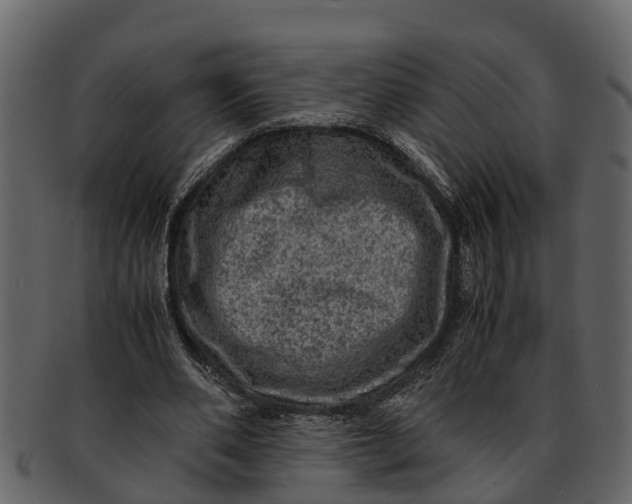 X0000093100486200710171204