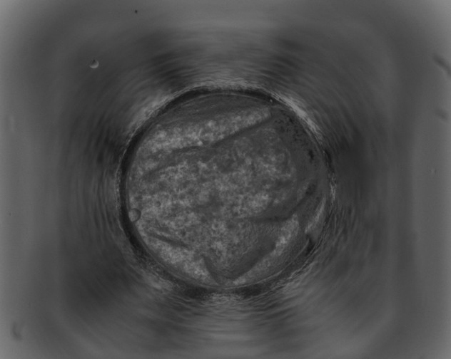 X0000093100487200710171204