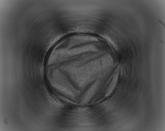 X0000093100488200710171204