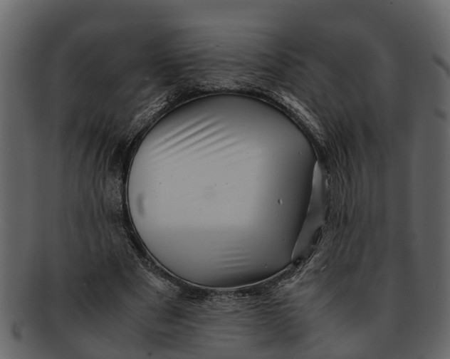 X0000093100489200710171204