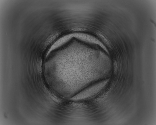 X0000093100490200710171204