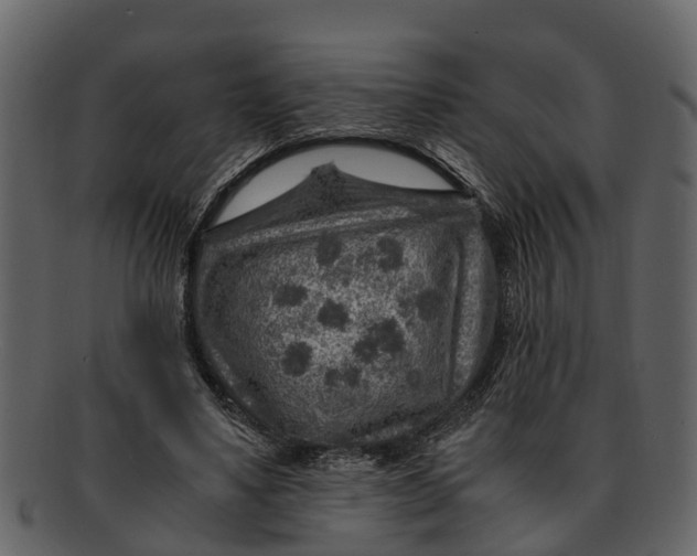 X0000093100491200710171204