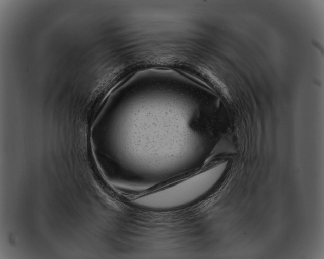 X0000093100493200710171204