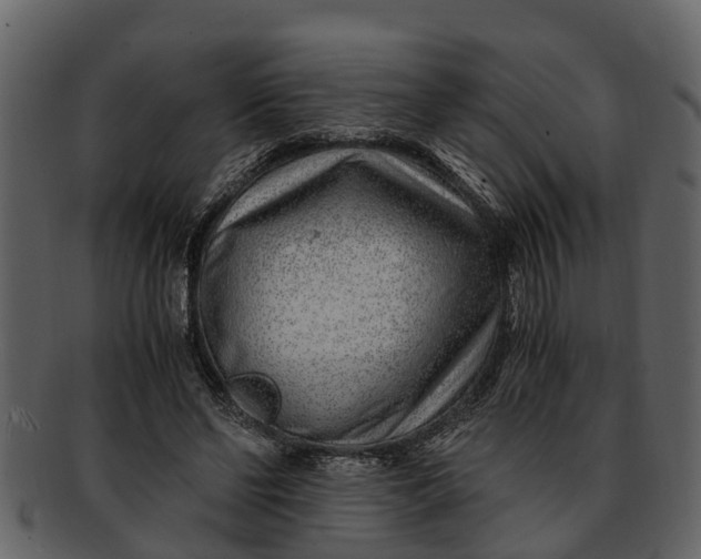 X0000093100494200710171204
