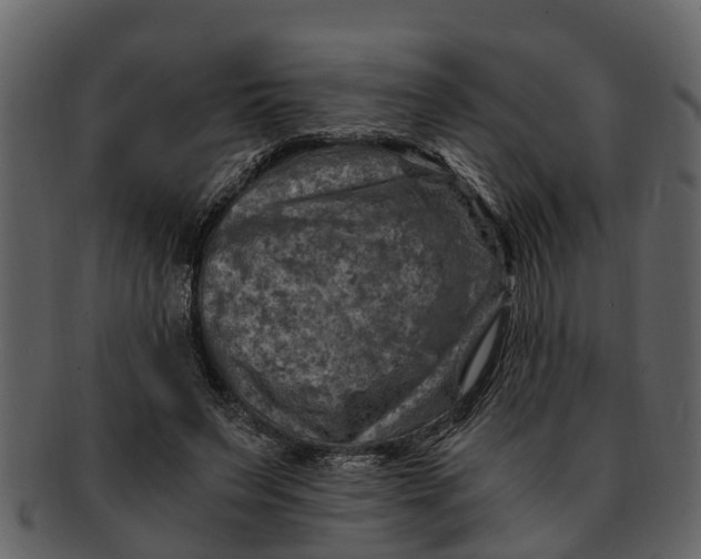 X0000093100495200710171204