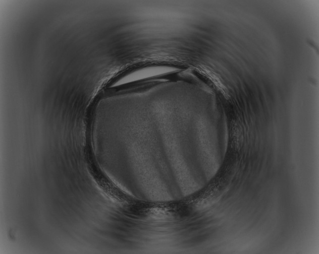 X0000093100496200710171204