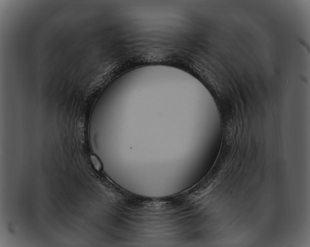 X0000093100497200710171204