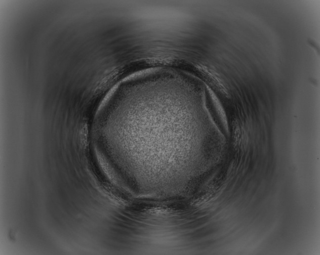 X0000093100498200710171204