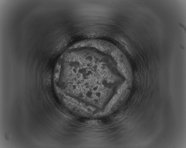 X0000093100499200710171204