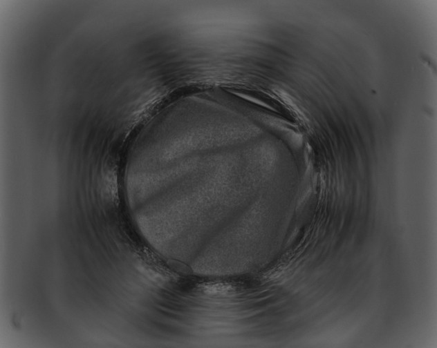 X0000093100500200710171204