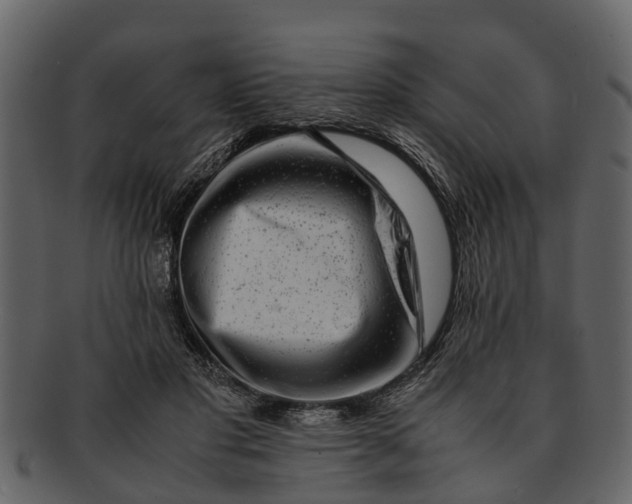 X0000093100501200710171204