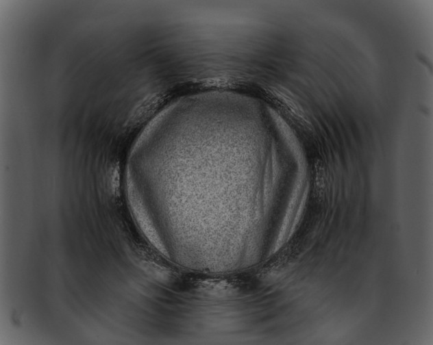 X0000093100502200710171204