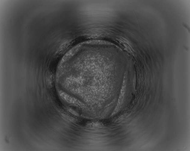 X0000093100503200710171203