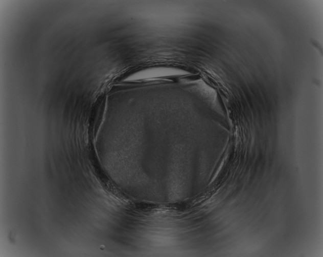 X0000093100504200710171203