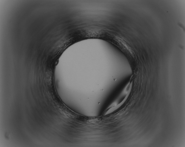X0000093100505200710171203
