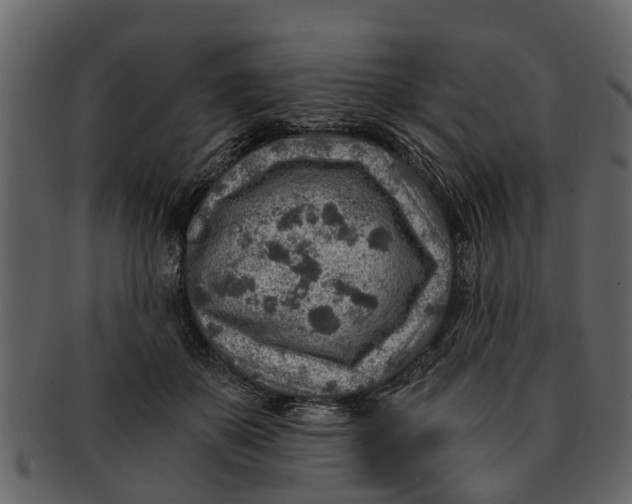 X0000093100507200710171203